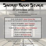 shorei-budo-stage